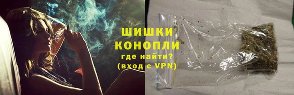 шишки Медногорск