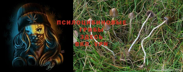 дистиллят марихуана Мегион