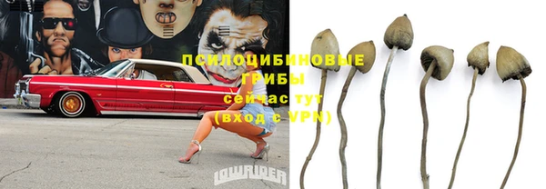 гашик Медвежьегорск