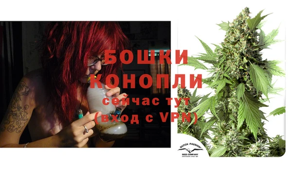 шишки Медногорск