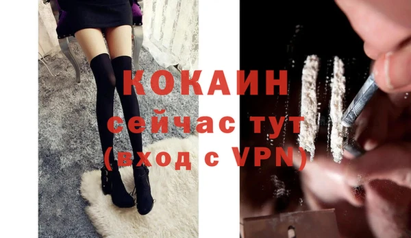 шишки Медногорск
