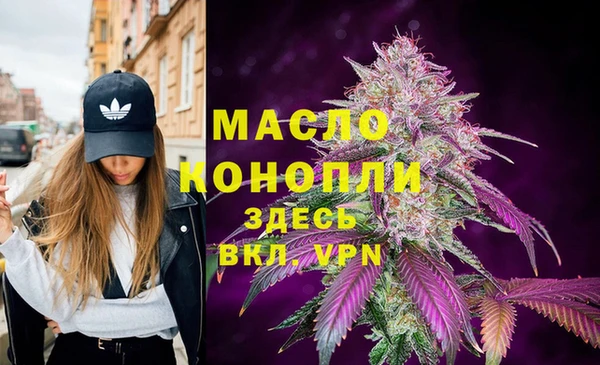 шишки Медногорск