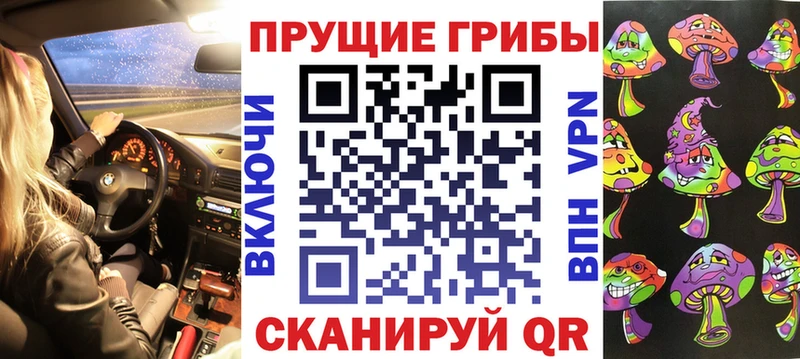 Псилоцибиновые грибы Psilocybine cubensis  Кораблино 